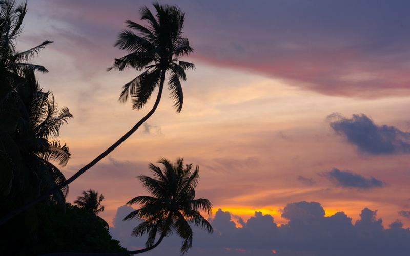 purple, maldivian, non-urban scene, sky, silhouettes, tranquil scene, tropical climate, outdoors, tranquility, nature, plant, maldives, sunset, beauty in nature