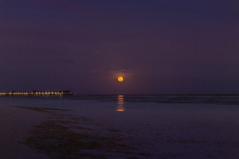 horizon over water, land, sky, waterfront, sunlight, 5K, shore, nighttime, reflection, night, dawn, dusk, beach, maldives, sea, lux* south ari atoll, full moon