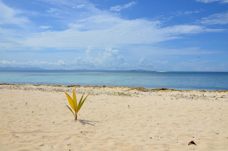 day, sand, idyllic, fiji, no people, plant, horizon, tranquil scene, sky, beauty in nature, sea, yellow, 4K, cloud - sky, green, tranquility, beach, non-urban scene