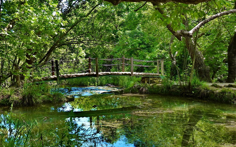 stream, wooden, nature and landscapes, little, forest, lovely, 1080P, bridge, weeds