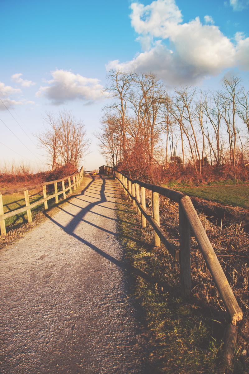 day, winter, land, lovely, nature, colors, diminishing perspective, tree, pathway, field, boundary, shadows, no people, 5K, trees, tranquility, road, bollate