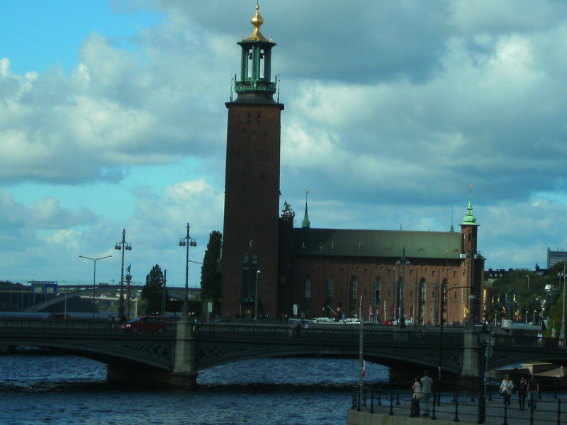 animals, riddarholmen, holm, stockholm, 2K, tower, stadshuset