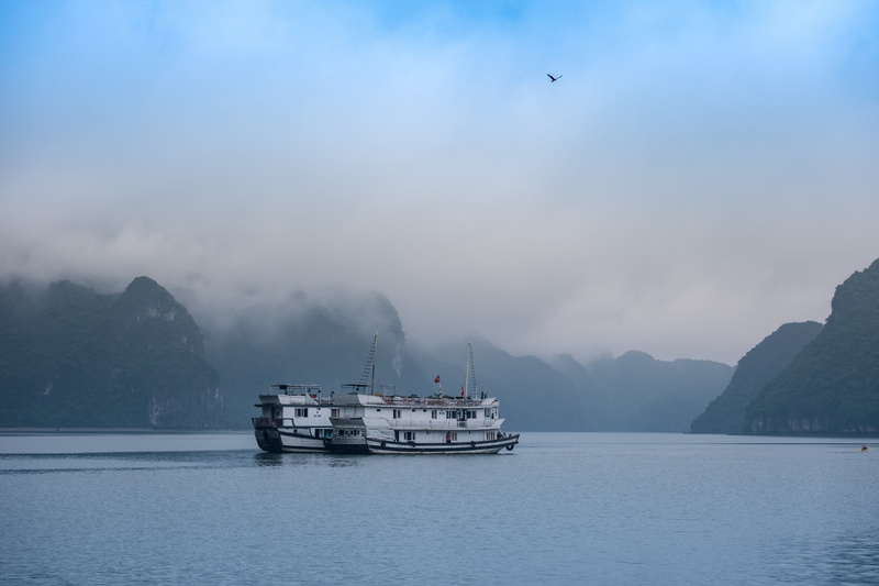 bird, tranquil scene, scenics - nature, sky, body, tranquility, nautical vessel, travel, cloud - sky, transportation, cruise, sailboat, non-urban scene