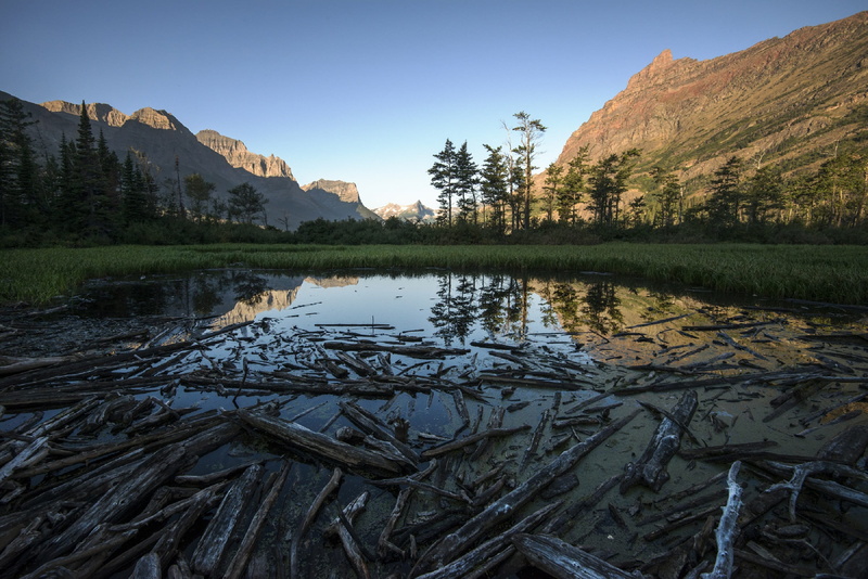 mountain, Water, reflection lake, Scenic, plant, non-urban scene, 2K, usa, travel destinations, day, no people, coniferous tree, sky, scenics, saint mary lake