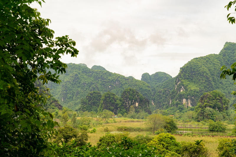 vietnam, mountain, no people, warm, environment, mountains, plant, film location, beauty in nature, outdoors, jeffma, nature, idyllic, rainforest, 4K