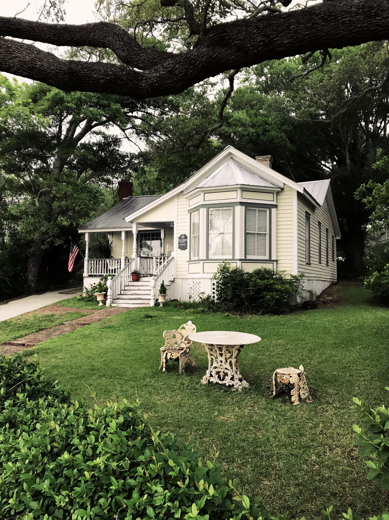 animal, residential district, architecture, mammal, house, nature, southport, filming location, 2K, plant, grass, field, outdoors, tree, green color, land