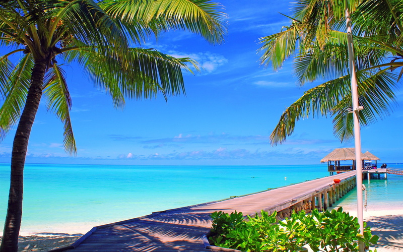 Bridge, Island, Sea, Maldives, Bungalows, 2K, Palm, Trees, Ocean