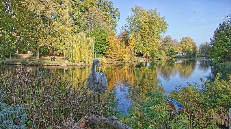 tranquility, non-urban scene, 5K, beauty in nature, outdoors, parc des capucins, growth, day, green color, étang, water, reflection, tree, sky, france