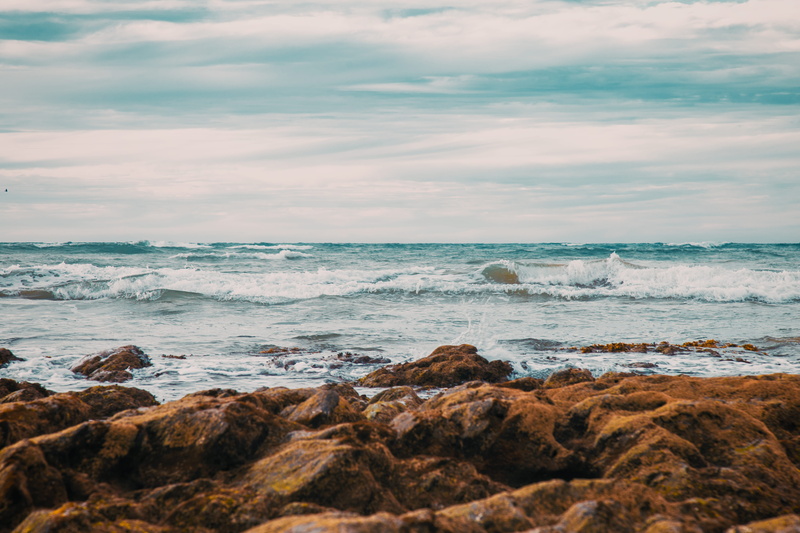 beach, horizon, land, motion, scenery, tranquility, sea waves, wave, sea, sky, outdoors, coastline, scenics - nature, grass, rippling, water, landscape