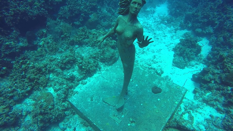 shirtless, one person, sea life, water, statue, outdoors, day, lifestyles, real people, underwater, high angle view, blue, sea, men, leisure activity, turquoise colored