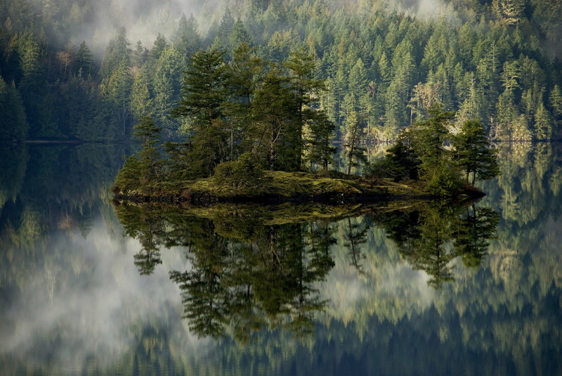 waterfront, sunlight, island, growth, outdoors, leafed, coniferous tree, non-Urban Scene, evergreen tree, mist, color Image, reflection, sky, scenics, tree