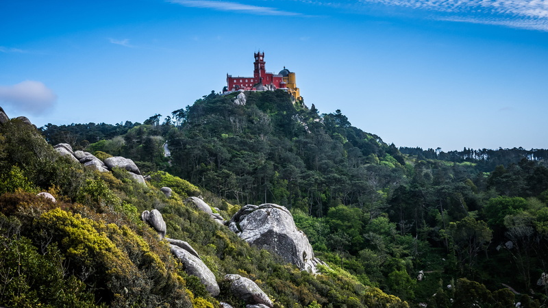 tree, the past, no people, abbey, built structure, nature, building exterior, land, rock, travel destinations, architecture, mountain, sintra, outdoors