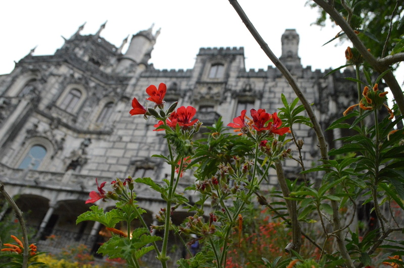 quinta da regaleira, growth, freshness, close-up, plant, outdoors, 1080P, history, building exterior, nature, built structure, flower, petal, no people