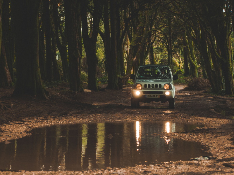 tranquility, jungle, dirt, growth, no people, waterfront, forest, reflection, jipe, transportation, tree, rally, sintra, tree trunk, water, 2K, mode of transportation
