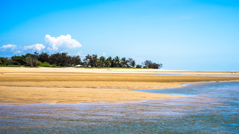beauty in nature, landscape, tropical tree, scenics - nature, sky, blue, saunders is north of townsville, sea, no people, saunders beach, environment, tree