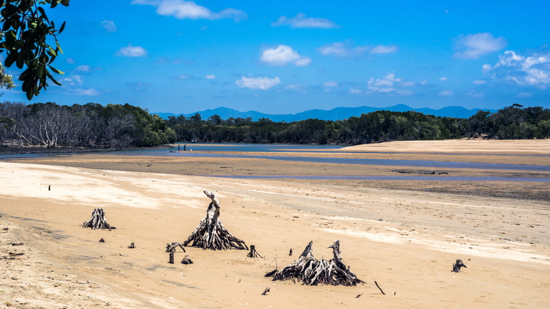 travel destinations, mountain, tree, sand, land, sky, low tide, cloud - sky, plant, saunders camping park, beauty in nature, climate, water, saunders shop
