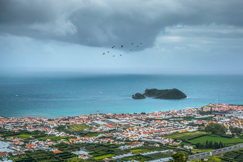 animal wildlife, Vila Franco do Campo, flying, houses, cloud - sky, city, town, sky, horizon over water, coastline, sea, portugal, no people, building exterior