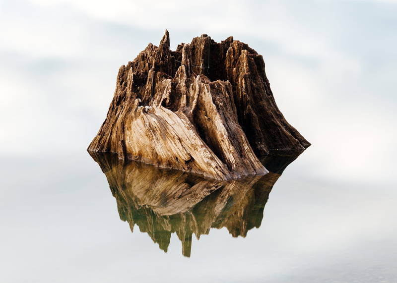 photography, rattlesnake lake, wood - material, reflection, mirror, day, dry, natural condition, long exposure, stump, rock, wooden, islet, tree, no people