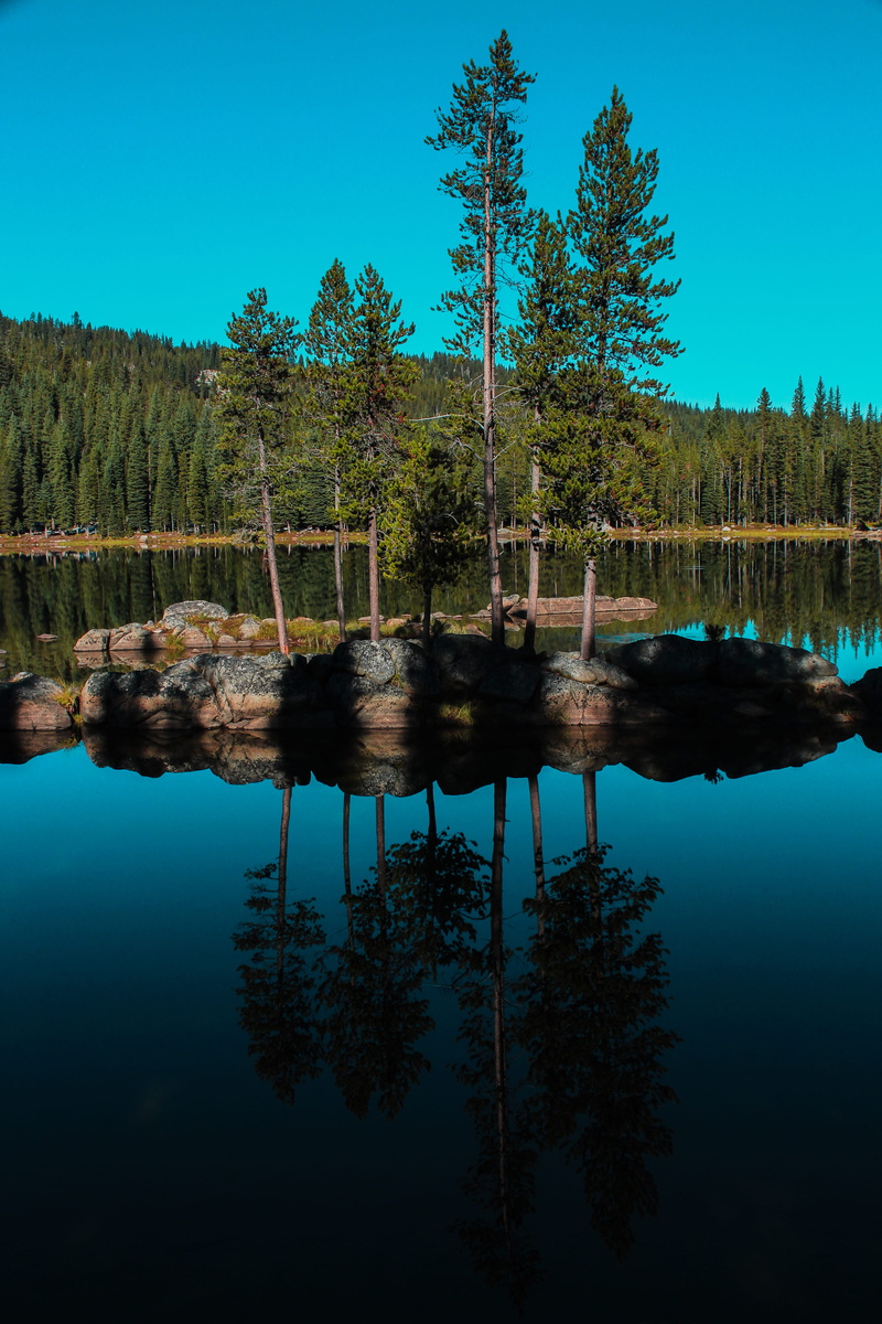 gray, scenics - nature, reflection, no people, tree, islet, lake, water, forest, beauty in nature, waterfront, reflection lake, tranquil scene, growth