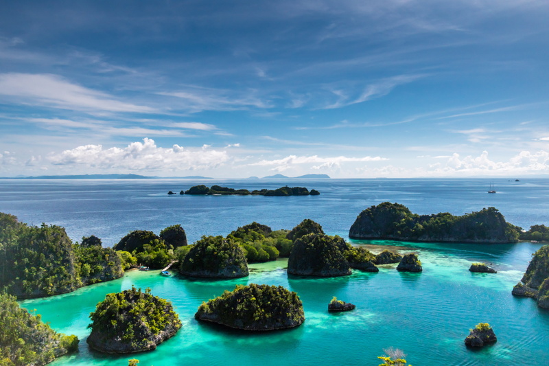horizon over water, beauty in nature, plant, wave, body, no people, day, sea, idyllic, daytime, tranquil scene, turquoise colored, surrounded, scenics - nature