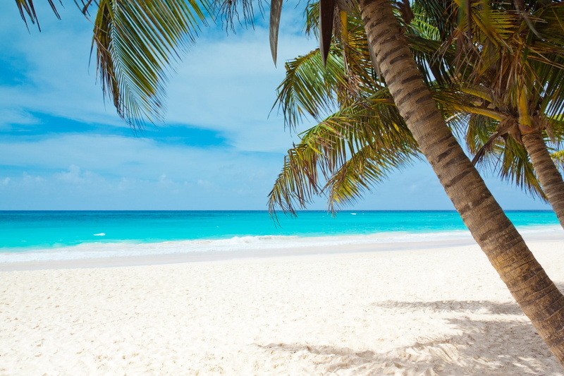 tree trunk, blue, sky, turquoise colored, land, nature, palm tree, tranquil scene, tranquility, scenics - nature, sand, beach, palm trees, trunk, water