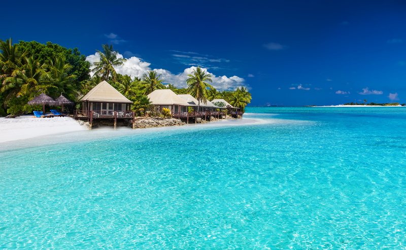 white, The Maldives, journey, caribbean Sea, water, beach, palm trees, transparent, caribbean, landscape, summer, outdoors, coast, south Male Atoll, maldives