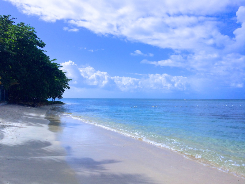 honduras, tranquility, tree, water, tranquil scene, outdoors, travel photography, sky, paradise, nature, land, sea, 2K, colors, plant, no people, ocean