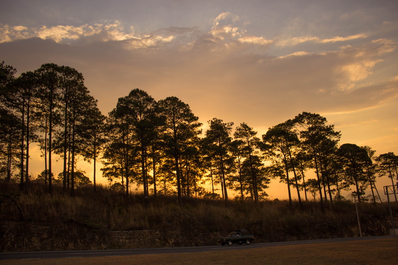 5K, tranquility, plant, non-urban scene, cloud - sky, land vehicle, beauty in nature, growth, orange color, car, nature, road trip, sky, scenics - nature