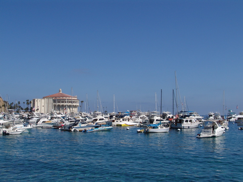 nautical Vessel, sea, catalina, port, mode of transportation, architecture, marina, blue, luxury, day, summer, building exterior, sky, clear sky, no people