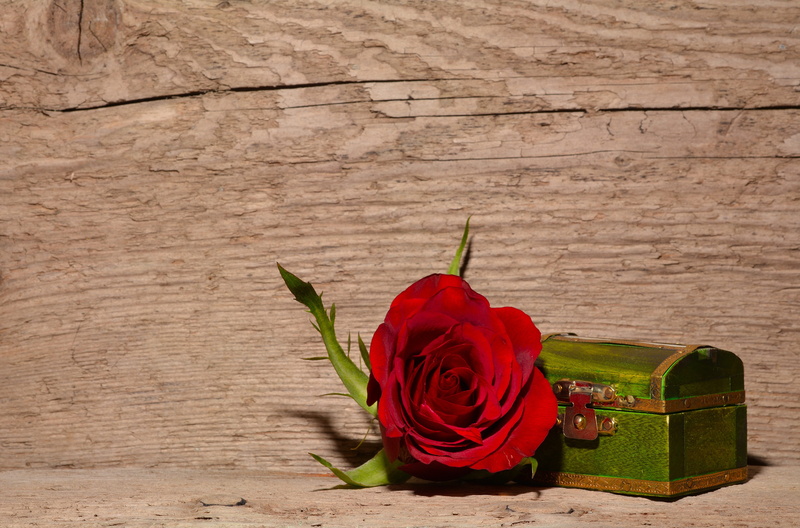 bouquet, beauty in nature, still life, valuable, petal, indoors, nature, chest, blossom, treasure, deco, bloom, close-up, flower, near, fragility, red