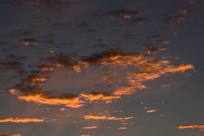 nature, 4K, morning, low angle view, fund, tranquil scene, backgrounds, dramatic sky, morning hour, idyllic, cloud, scenics - nature, full frame, sky
