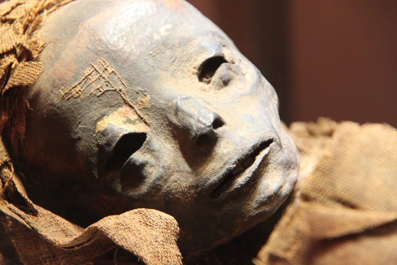 ancient, architecture, representation, figure, archaeology, sculpture, no people, egyptology, statue, museum, creativity, belief, art and craft, history
