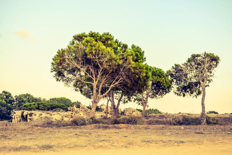 ruins, beauty in nature, clear sky, day, grass, summer, environment, tranquility, 5K, landscape, scenery, non-urban scene, semi-arid, tranquil scene, nature