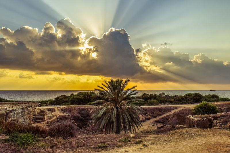 scenics - nature, horizon, sunbeam, sky, horizon over water, 5K, plant, bright, nature, paphos, cyprus, archaeological site, sunlight, environment, clouds