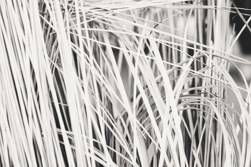 straw, close-up, palm leaf, backgrounds, electronics industry, beauty in nature, power supply, nature, 4K, pattern, black and White, growth, blade of grass