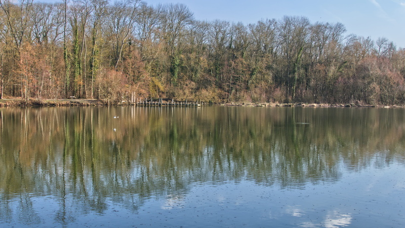 waterfront, landscape, canal, no people, scenics - nature, day, gouvernes, plant, scenery, lake, reservoir, pond, 5K, autumn, non-urban scene, tranquility