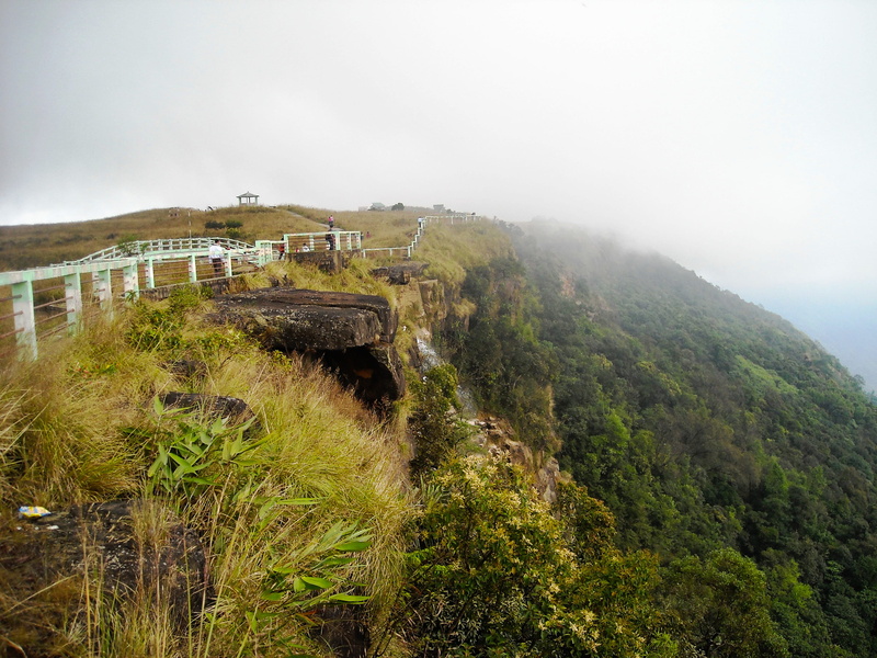 nature, green color, no people, built structure, shilliong, sky, fog, architecture, india, scenics - nature, tree, day, plant, landscape, tranquil scene