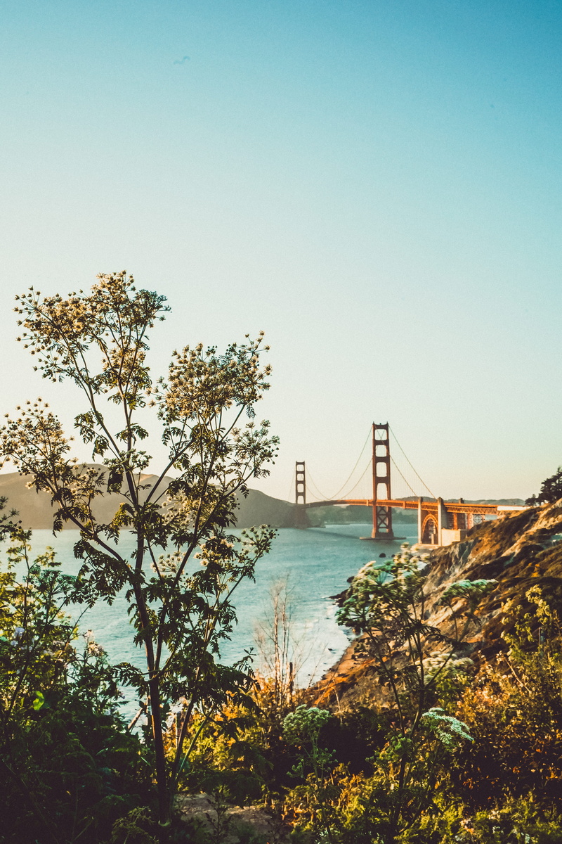 ocean, gate, bay area, body, travel destinations, summer, light, suspension bridge, welcome, flower, copy space, sunset, shadow, tree, no people, built structure