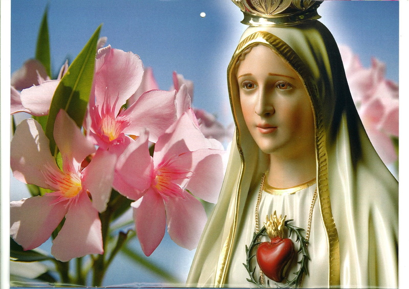 day, petal, young women, flower head, one person, Nossa Senhora De Fatima, nature, Mary (Mother of Jesus), lifestyles, 1080P, women, Jesus, close-up, young adult