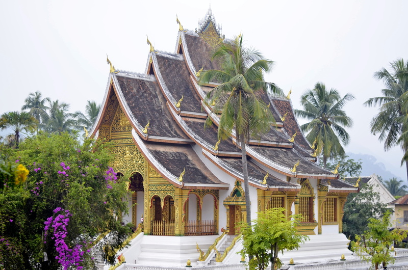 asia, lupin, built structure, no people, nature, 4K, building, belief, sky, architecture, flower, arbour, outdoors, place of worship, religion, prabang