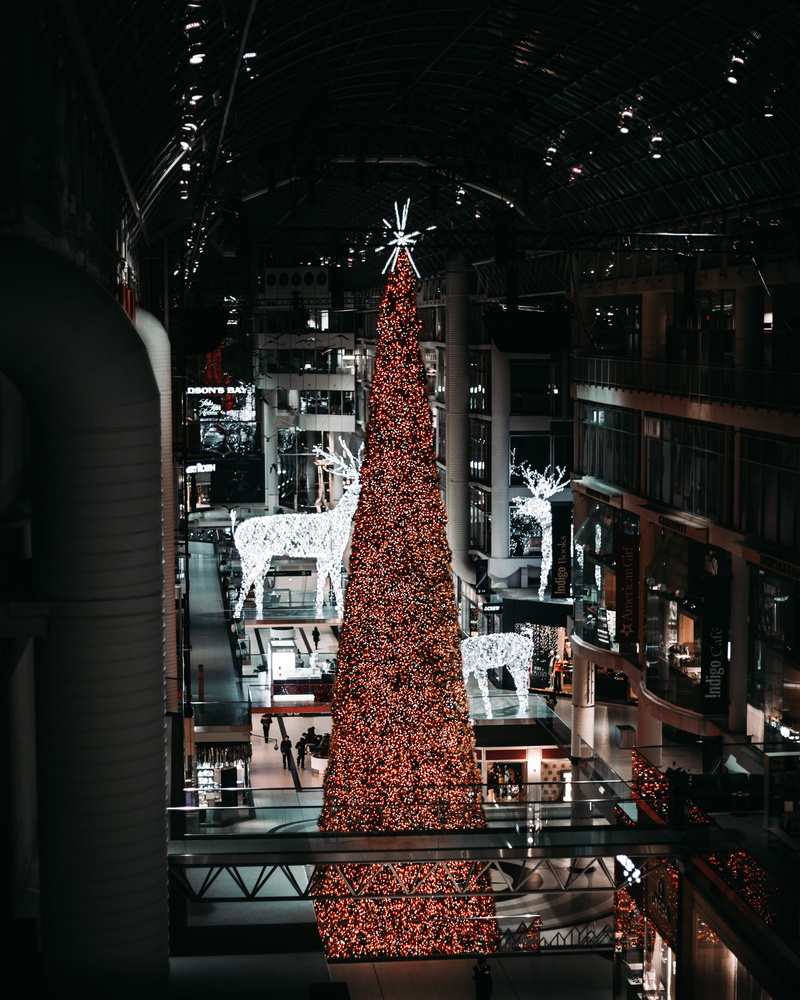 illuminated, architecture, christmas tree, religion, human, indoors, holiday, christmas decoration, ornament, walkway, tree, christmas lights, belief, window display