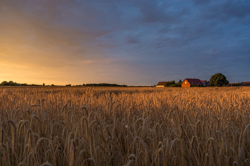 2K, Poland, nature, orange sky, sunrise, vacation, landscape, village