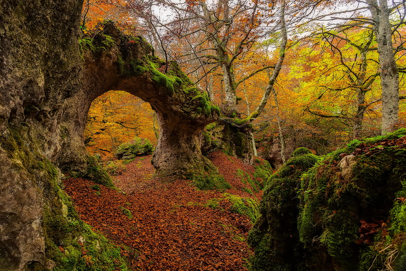 Urabain, tranquil scene, change, day, non-urban scene, rock, tranquility, nature, tree trunk, outdoors, Spain, beauty in nature, scenics - nature, growth