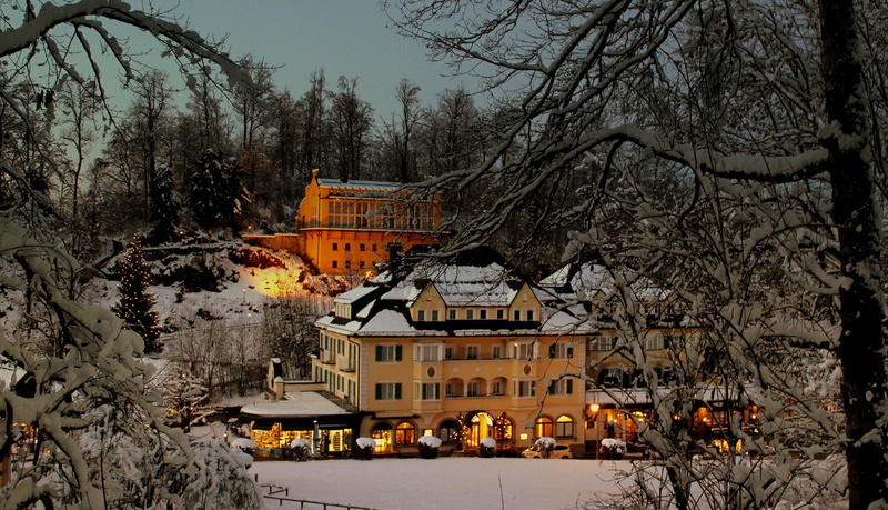 1080P, Germany, nature, trees, snow, hotel, forest, landscape, castle, architecture, lights, winter, branch