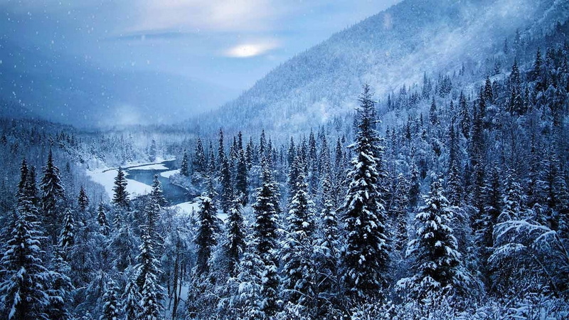 mountains, cold, river, mist, winter, Alaska, snow, trees, 720P, nature, landscape, forest