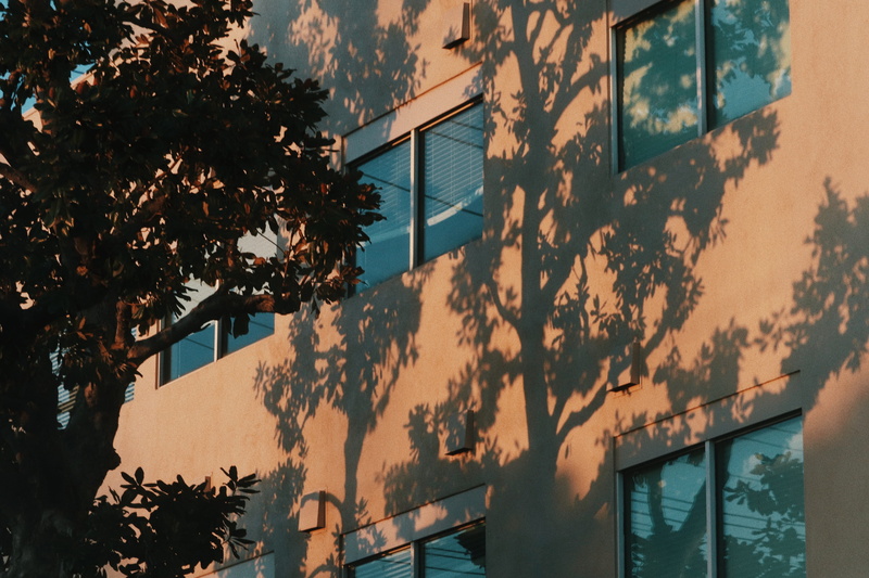curtain, window shade, 5K, tree, apartment building, building, flare, low angle view, home decor, office building, sky, light, tree trunk, city, shadow