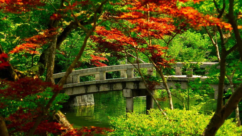 bridge, growth, tranquility, architecture, botanical garden, plant, kyoto, change, asia, japanese garden, water, no people, leaf, day, flowering plant