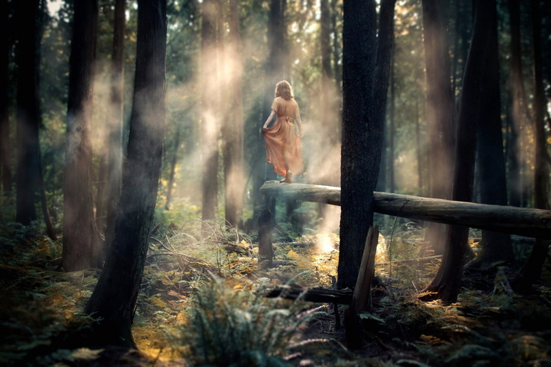 women outdoors, forest, mist, women, dappled sunlight, 1080P, dark
