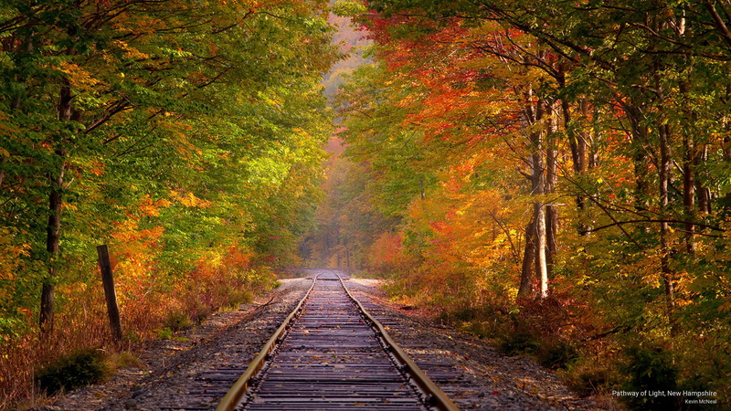 pathway, 2K, new, hampshire, light, Fall