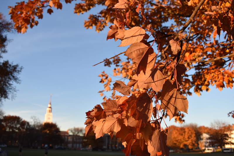 focus on foreground, dartmouth, nature, plant part, beauty in nature, building exterior, sky, autumn, dartmouth college green, tree, dartmouth college